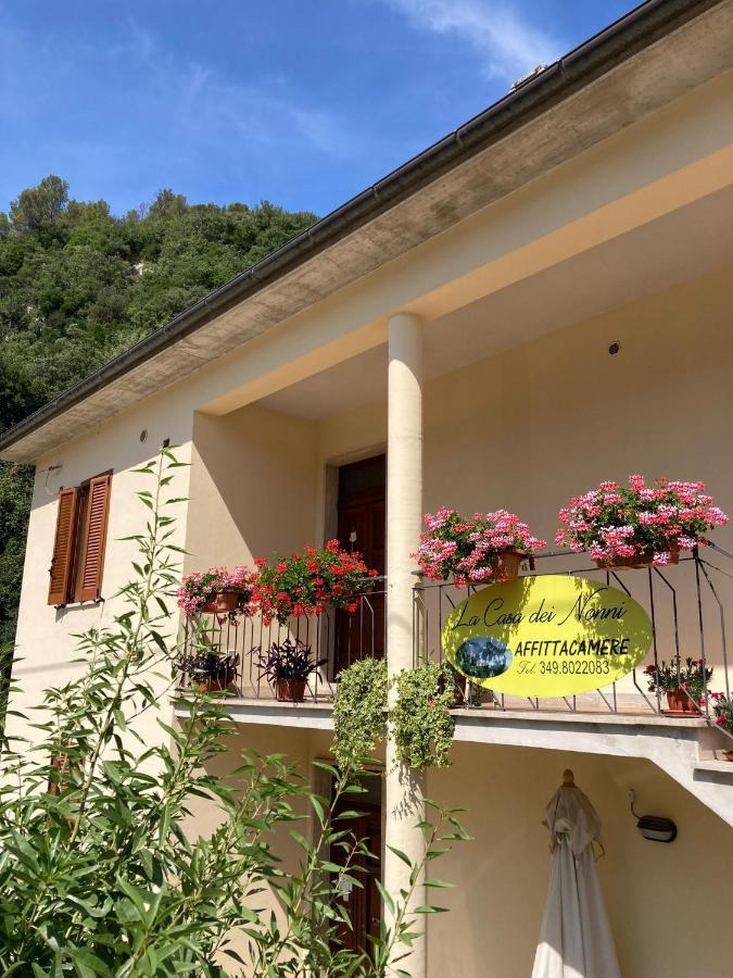 La Casa Dei Nonni Hotel Torre Orsina Exterior foto